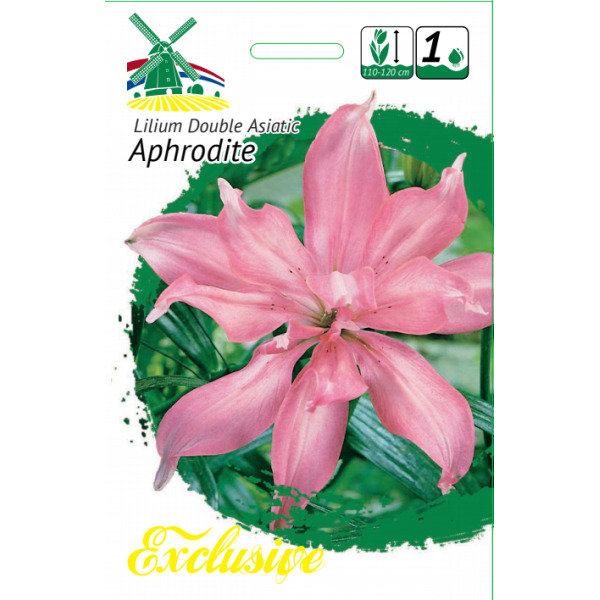 Луковицы цветов