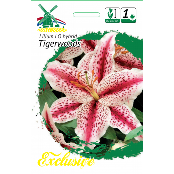 LIILIA TIGERWOODS