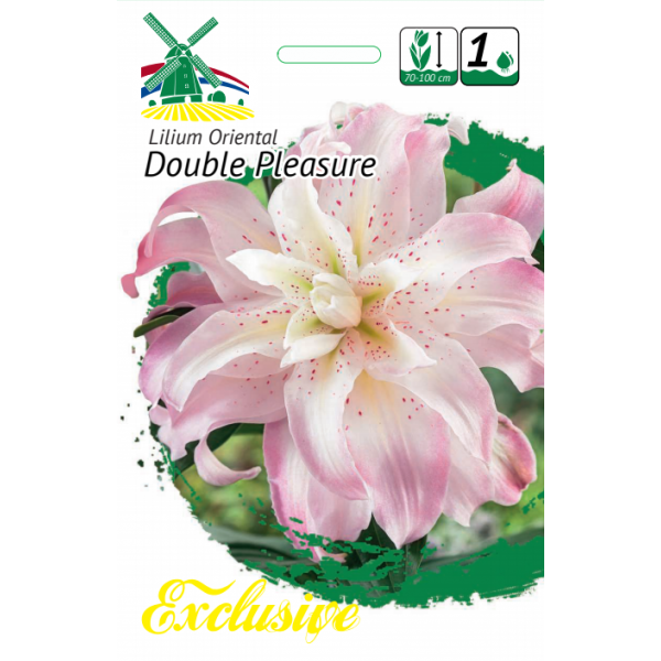 LIILIA DOUBLE PLEASURE