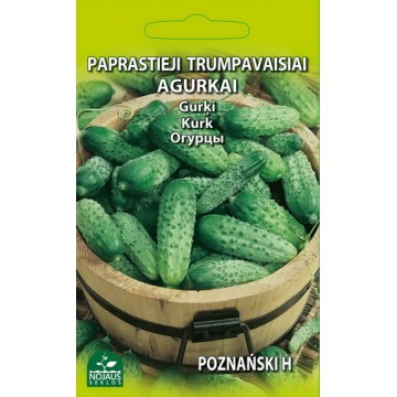 Kurgid Poznanski H