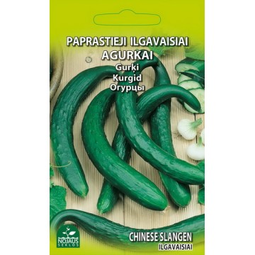 Kurgid Chinese Slangen