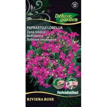 Aedlobeelia Riviera Rose
