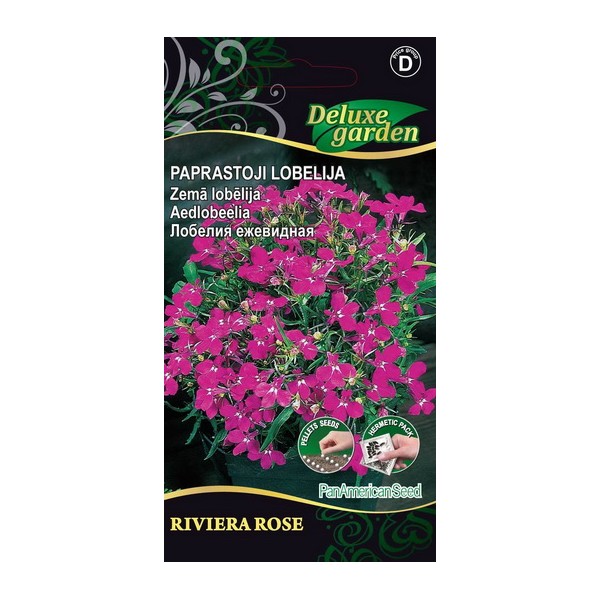 Aedlobeelia Riviera Rose
