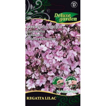 Zemā lobēlija Regatta Lilac