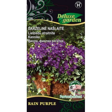 Kannike Rain Purple