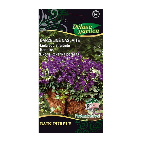 Kannike Rain Purple