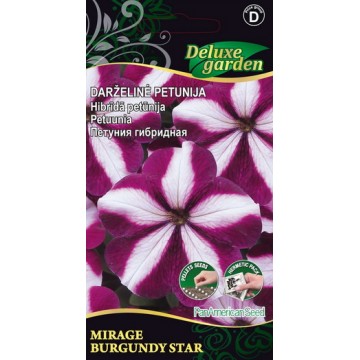 Petuunia Mirage Burgundy Star