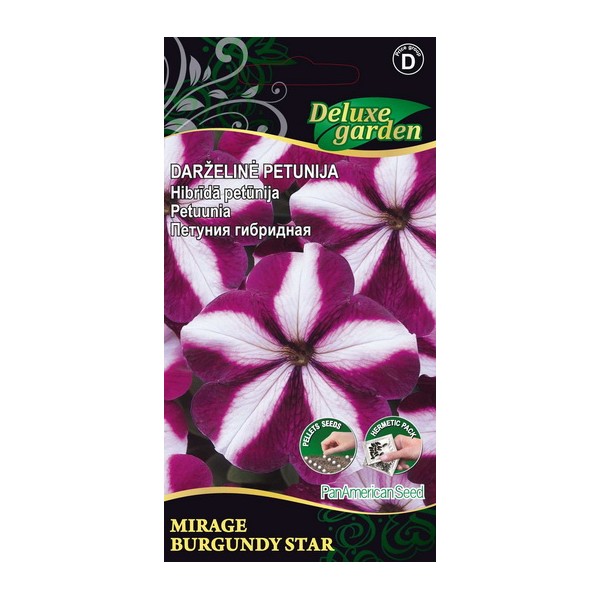 Petuunia Mirage Burgundy Star