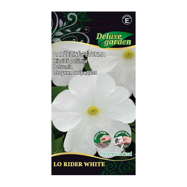 Petuunia LO RIDER WHITE
