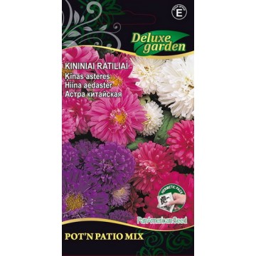 Hiina aedaster Pot'n Patio Mix