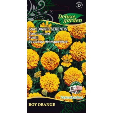 Peiulill Boy Orange