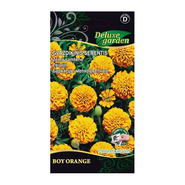 Peiulill Boy Orange