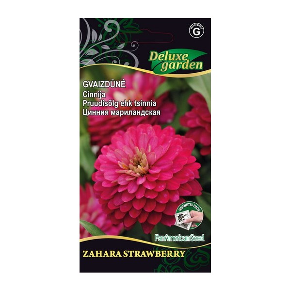 Pruudisõlg ehk tsinnia Double Zahara Strawberry