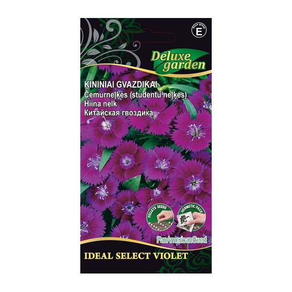 Hiina nelk Ideal Select Violet