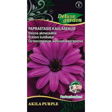 Eckloni kuldkakar Akila Purple