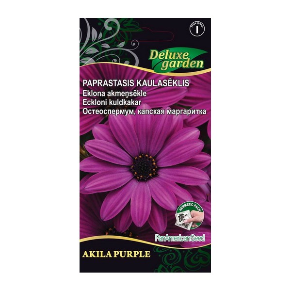 Eckloni kuldkakar Akila Purple