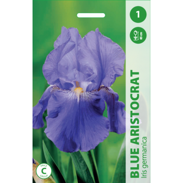 Iiris Blue Aristocrat 1tk.