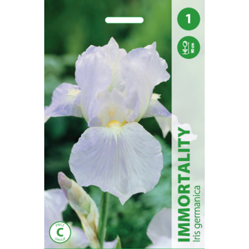 Iiris Immortality