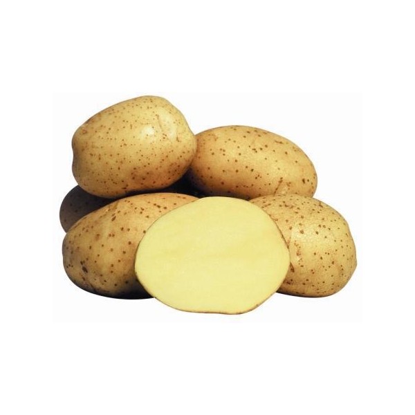 Varajased ‘Vineta’ seemnekartulid 5 kg”