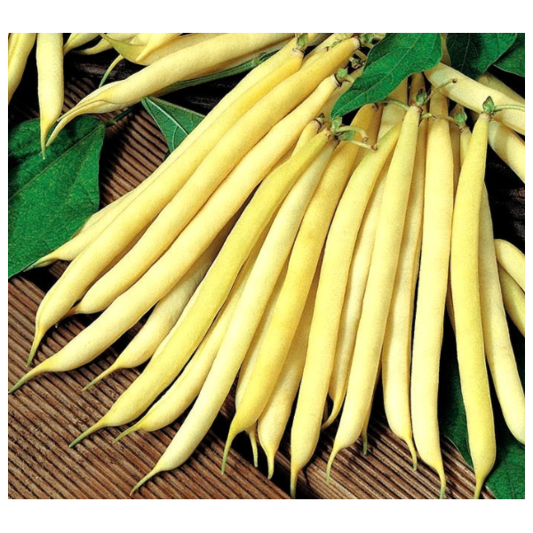 Harilik aeduba Tara 500g
