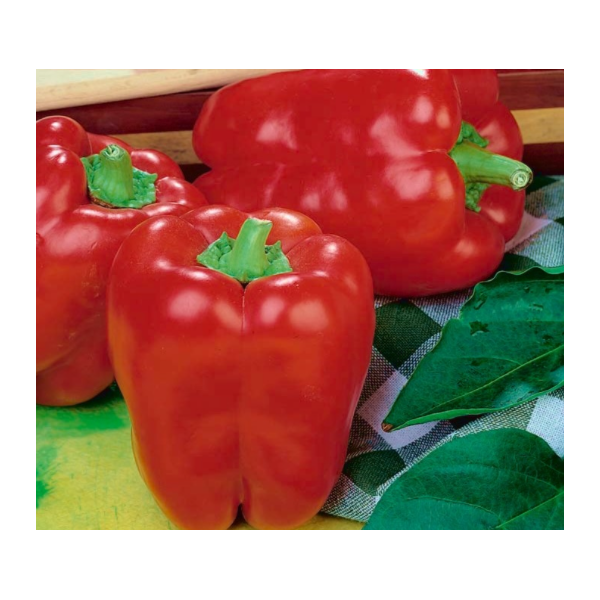 Paprika Barborka 10g