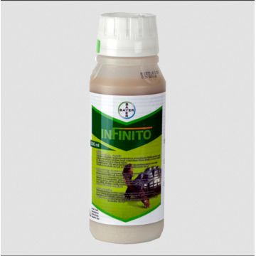 Fungitsiid INFINITO 500ml