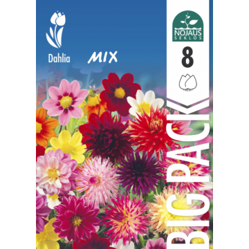 Daahliad Mix BIG PACK 8 tk.