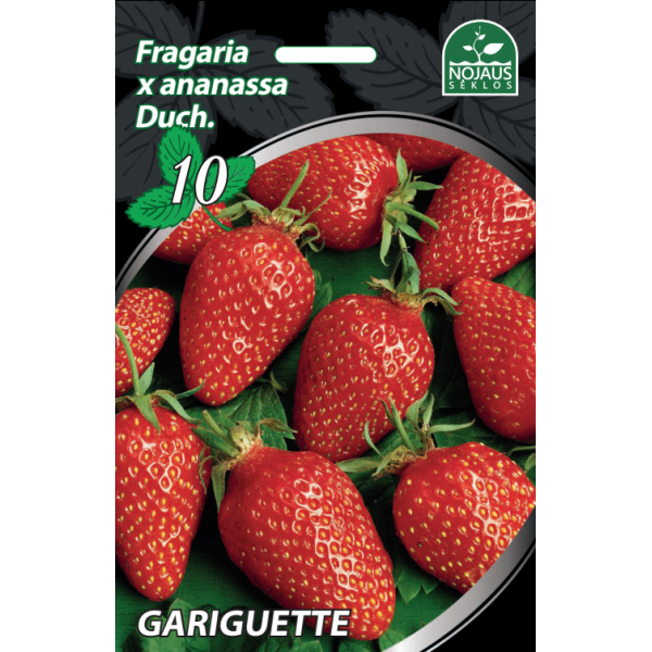 10tk Gariguette Frigo maasikataimed