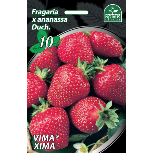 10tk Vima ® Xima A maasikataimed FRIGO