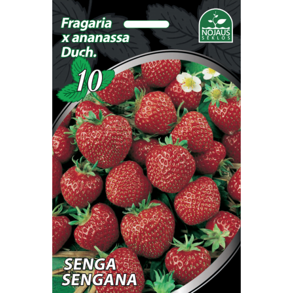10tk Senga Sengana maasikataimed FRIGO