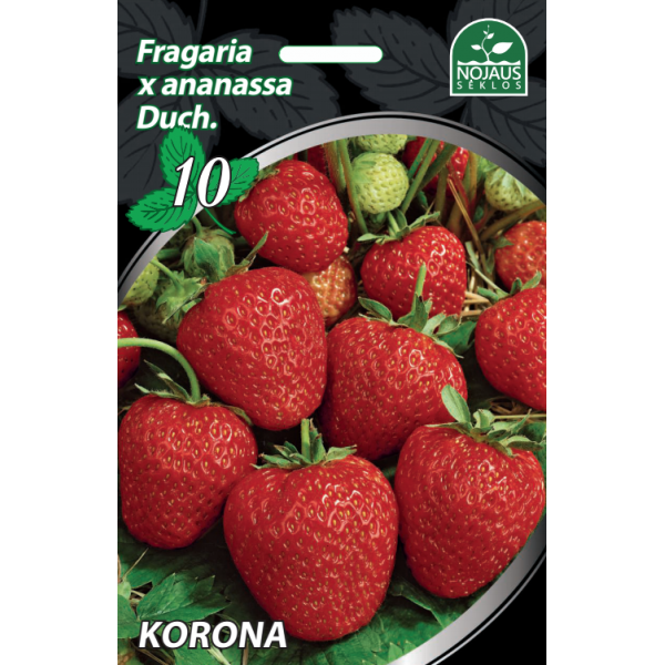 Braškės Korona A Frigo 1 dėžė (500vnt.)