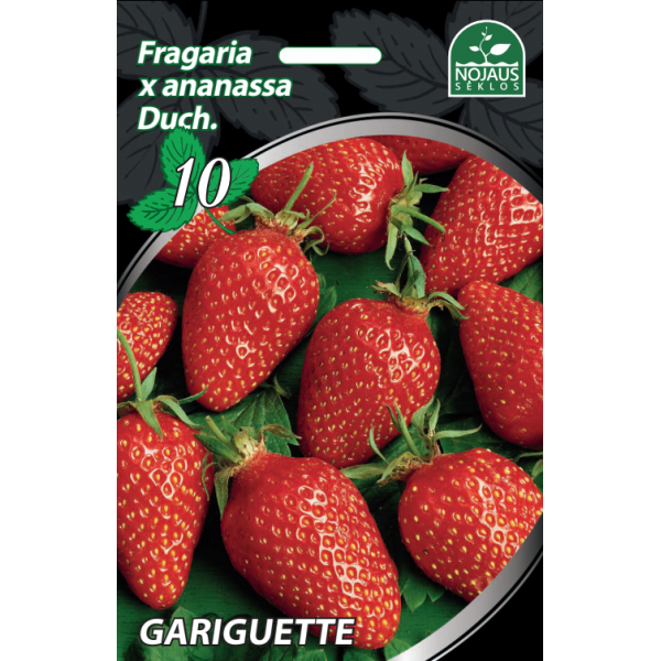50tk Gariguette Frigo maasikas seemikud