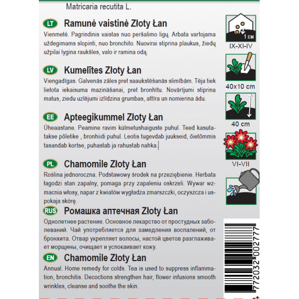 Apteegikummel Złoty Łan seed tape