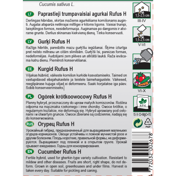Kurgid Rufus H seed tape
