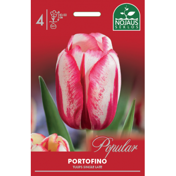 Tulbid Portofino