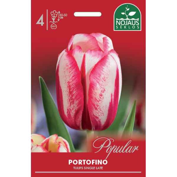 Tulbid Portofino