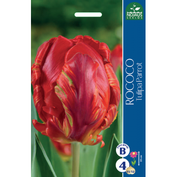 TULP ROCOCO