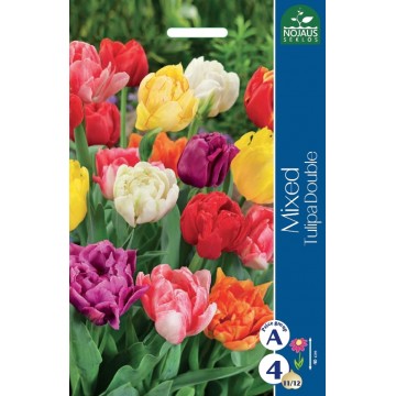 TULP Double, MIX