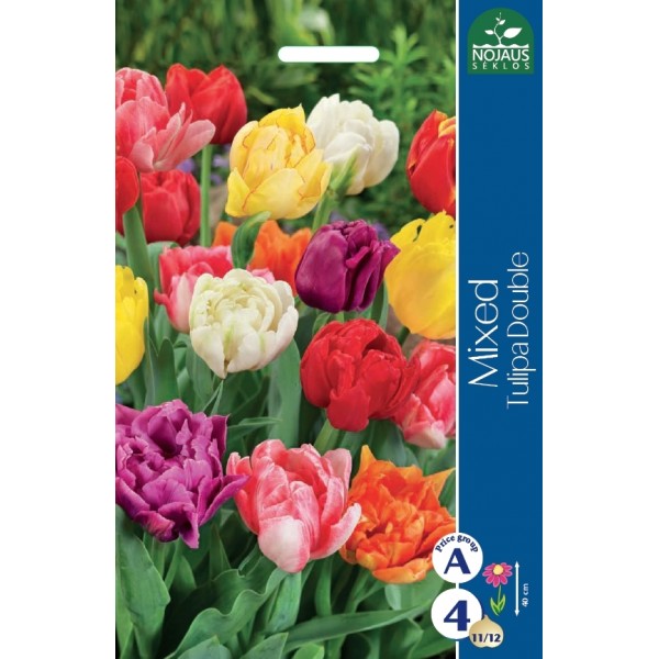 TULP Double, MIX