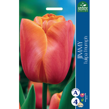 TULP JIMMY