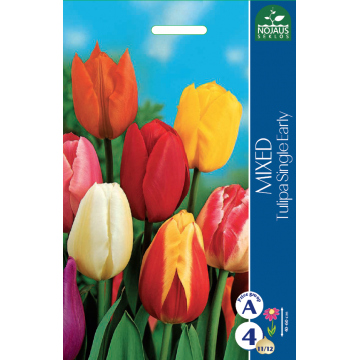 TULP single early, MIX