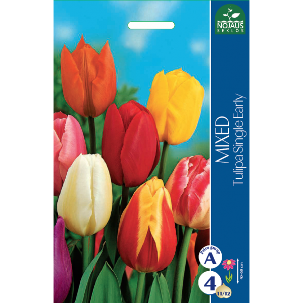TULP single early, MIX