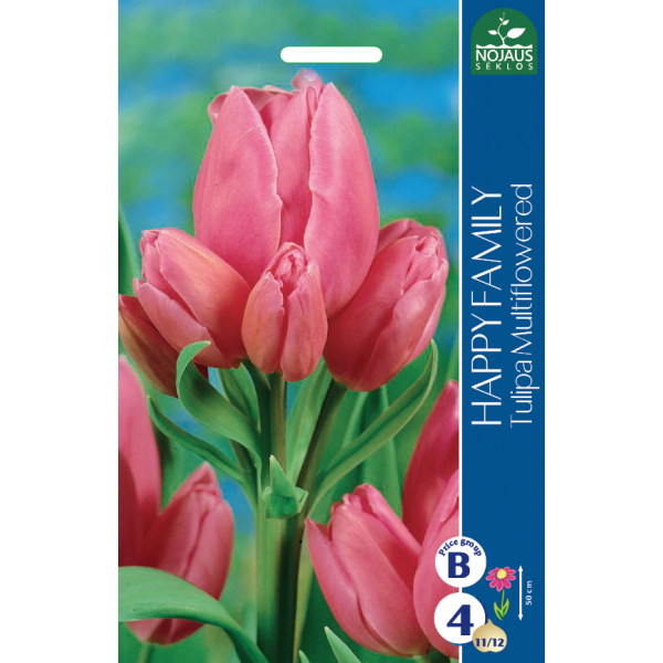 TULP HAPPY FAMILY