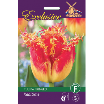 TULP EXCLUSIVE REALTIME