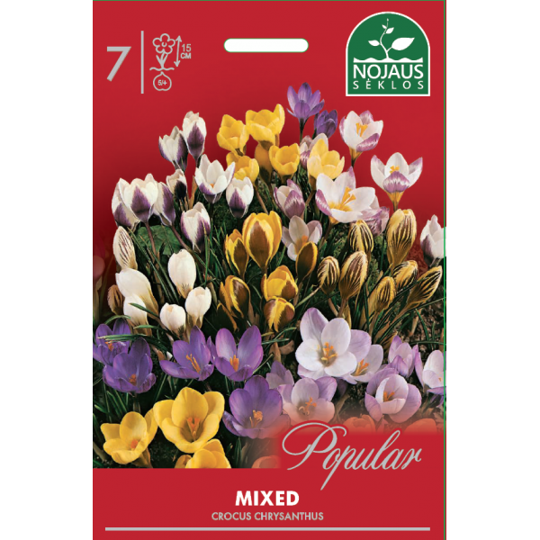 CROCUS MIXED