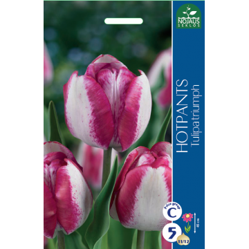 Tulp HOTPANTS