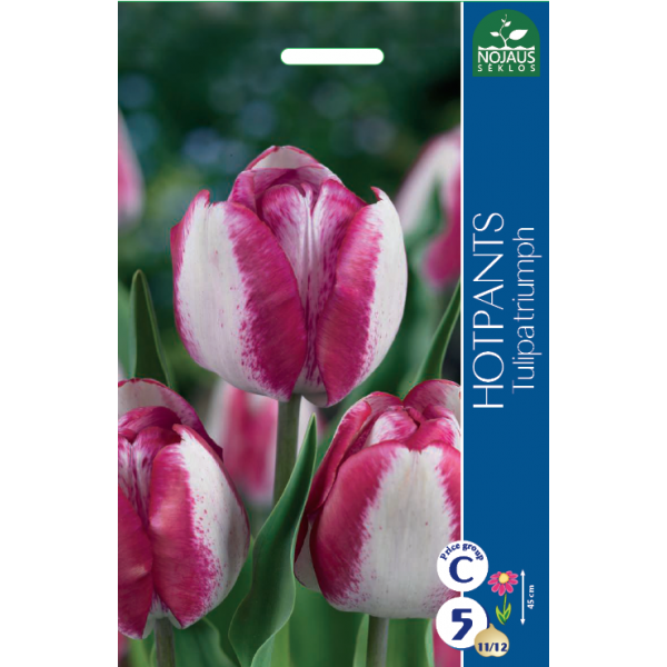 Tulp HOTPANTS