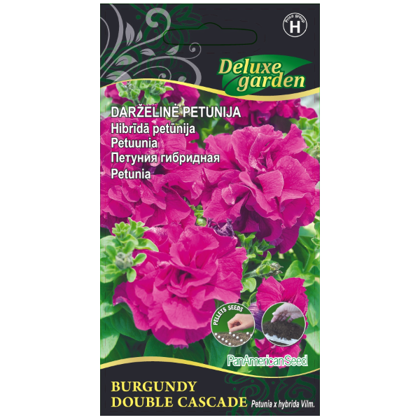 Petuunia Double Cascade Burgundy