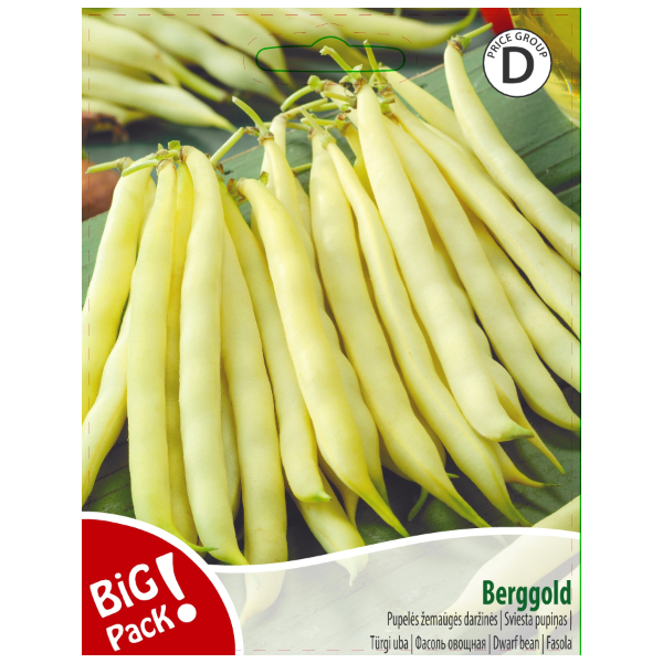 Türgi uba Berggold