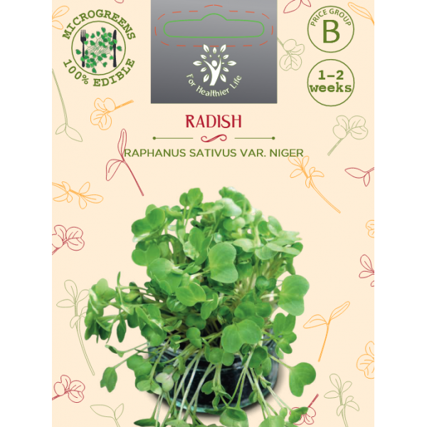 Microgreens Redis Rose d'hiver de Chine 5g